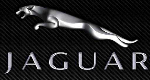 Jaguar Cars big cat bonnet logo