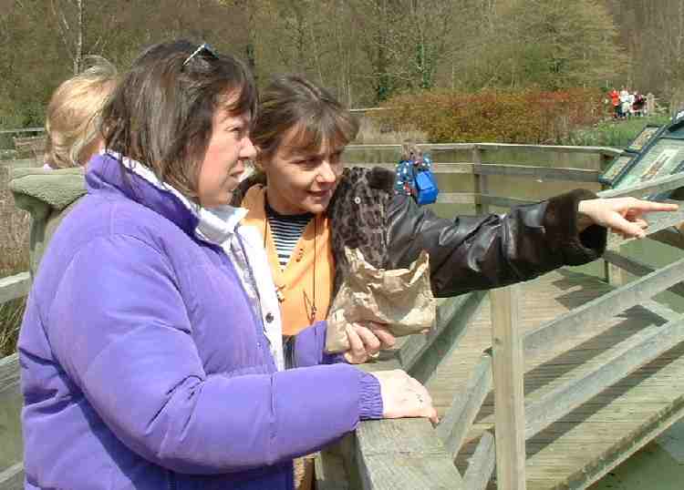 Sharon Scotford and Maria Gregson, Wetlands April 2004