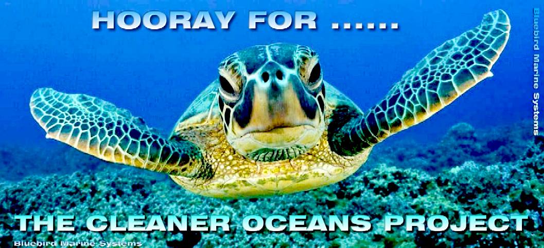 Happy sea turtle just found out about the cleaner oceans project