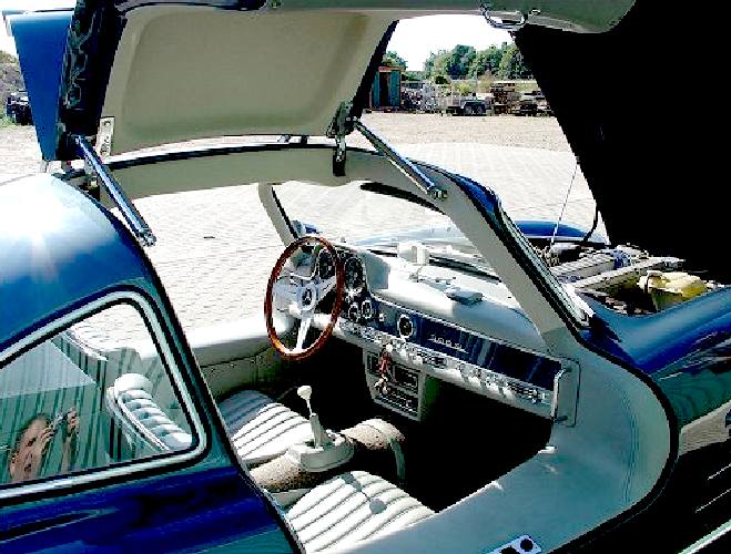 Gullwing door hinges and struts