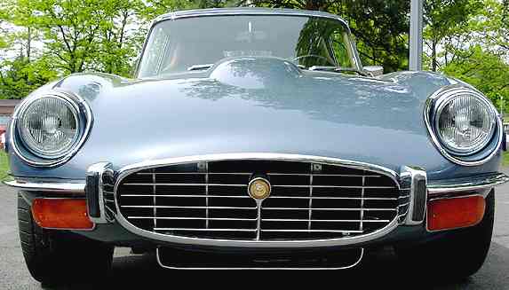 Jaguar E Type radiator grille