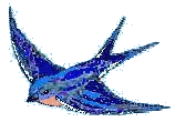 Bluebird Registered Trademark