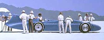 Bluebird at Bonneville Salt Flats