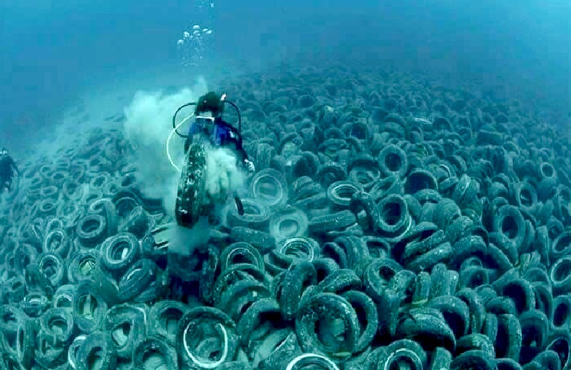 Tyres dumped in the ocean as artificial reefs