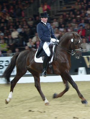 Dressage.
